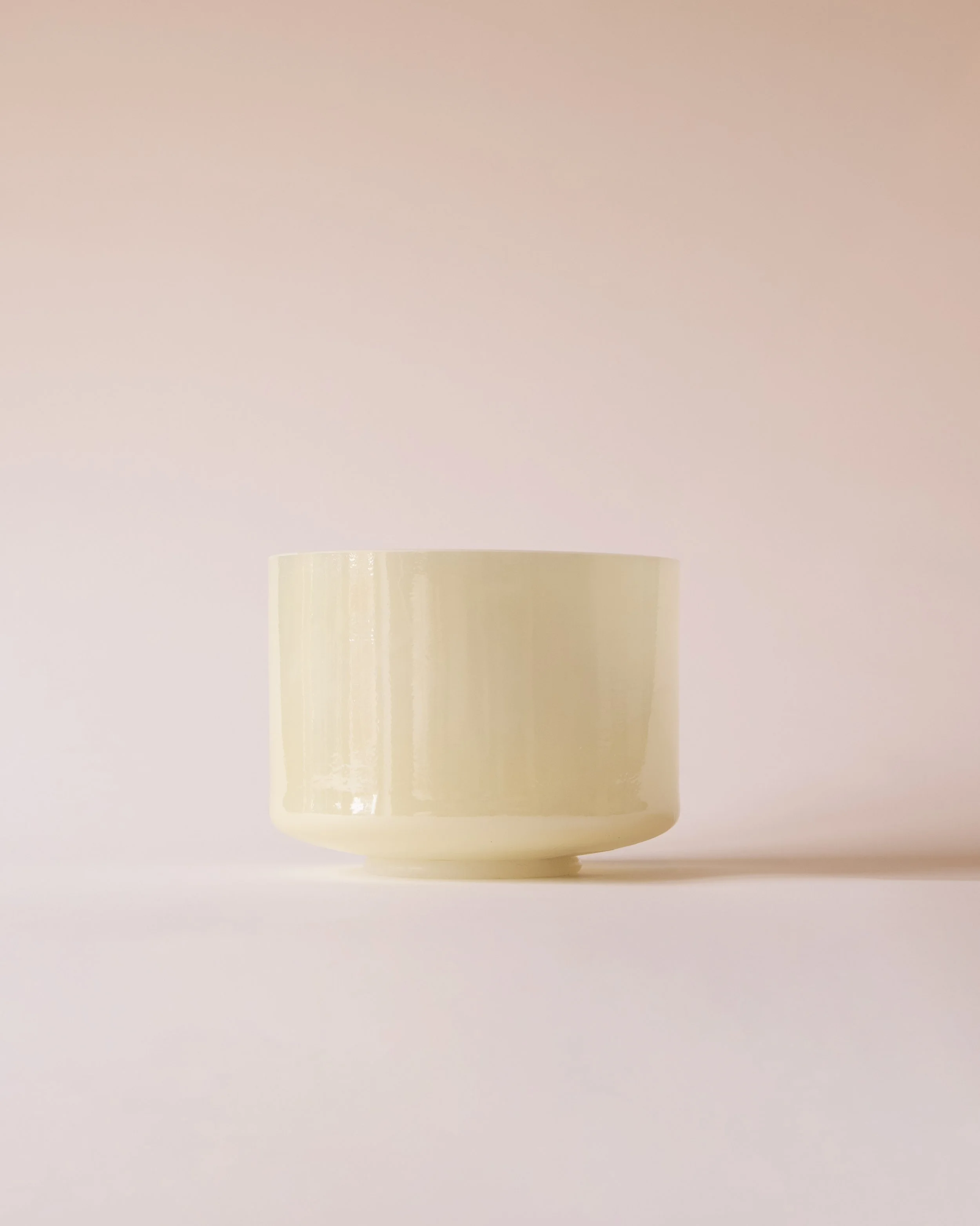 Lemon Angel Gold, 8" D+5