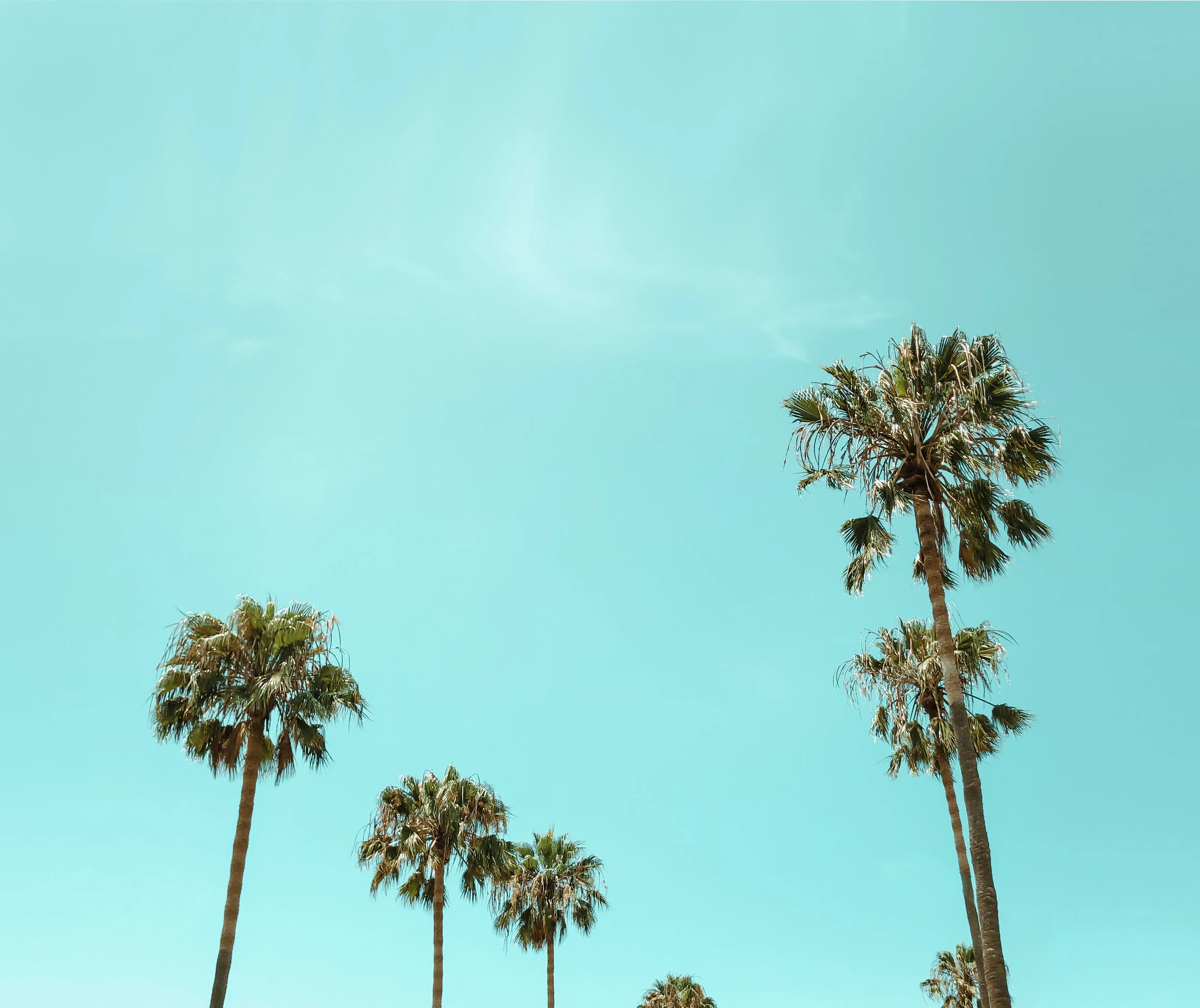 Venice Beach