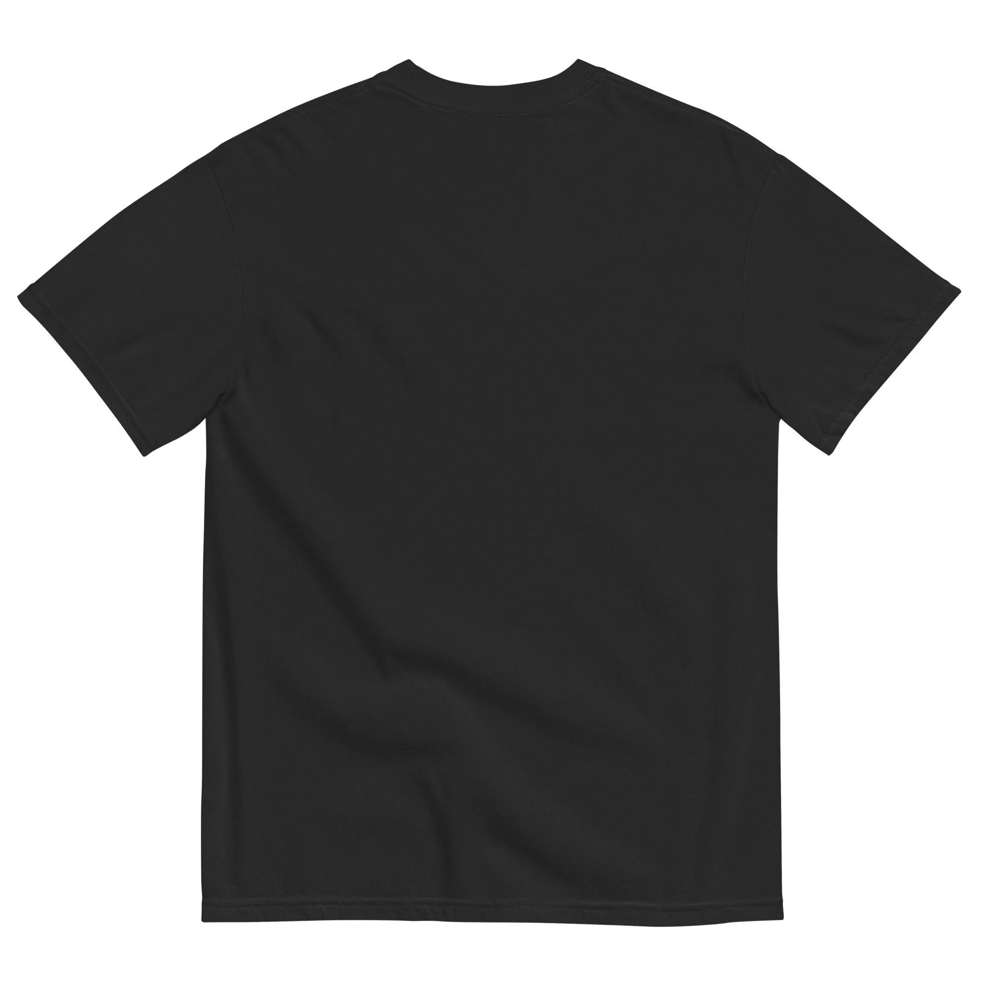 unisex-garment-dyed-heavyweight-t-shirt-black-back-68d3303dbe297.jpg