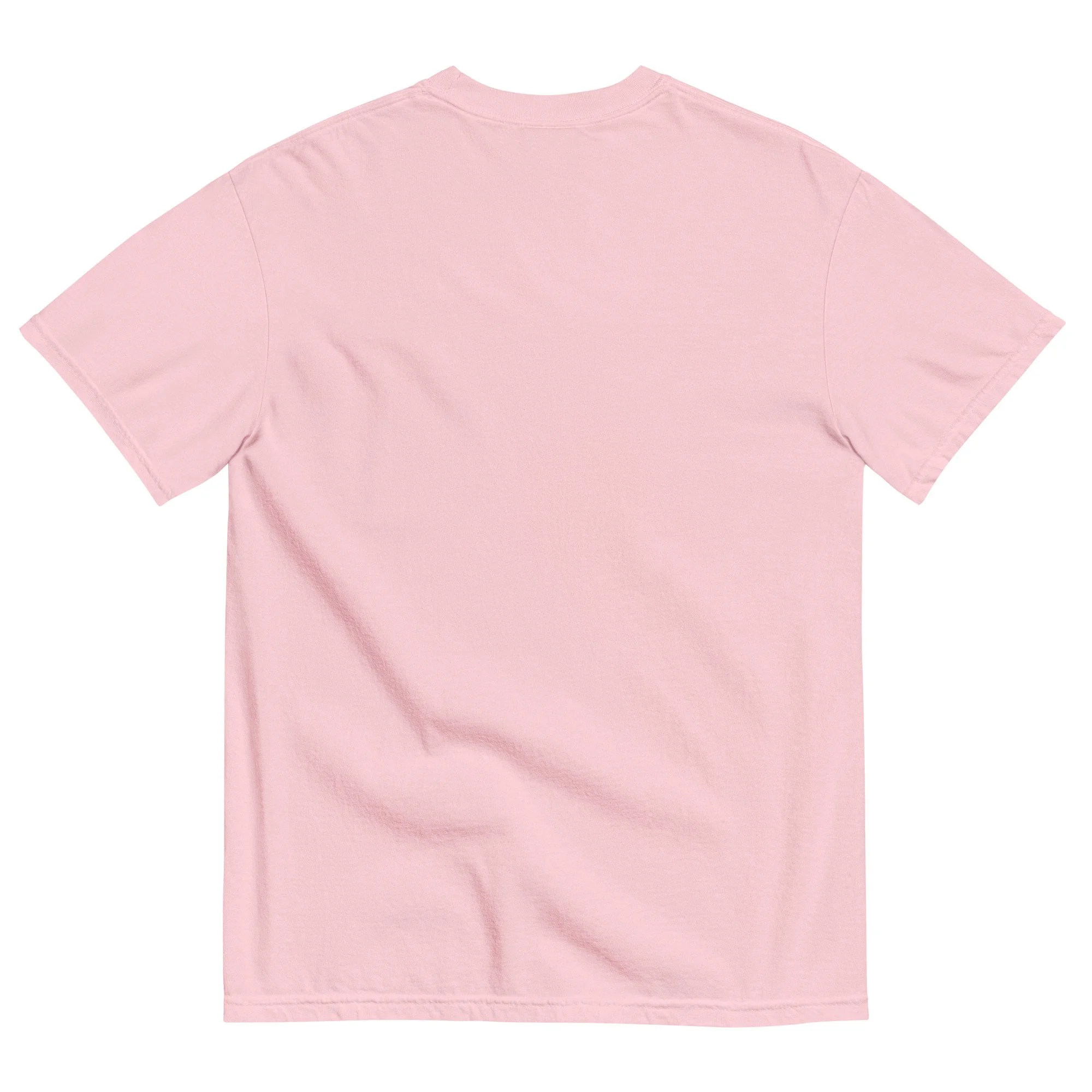 unisex-garment-dyed-heavyweight-t-shirt-blossom-back-68d3303dbfd24.jpg