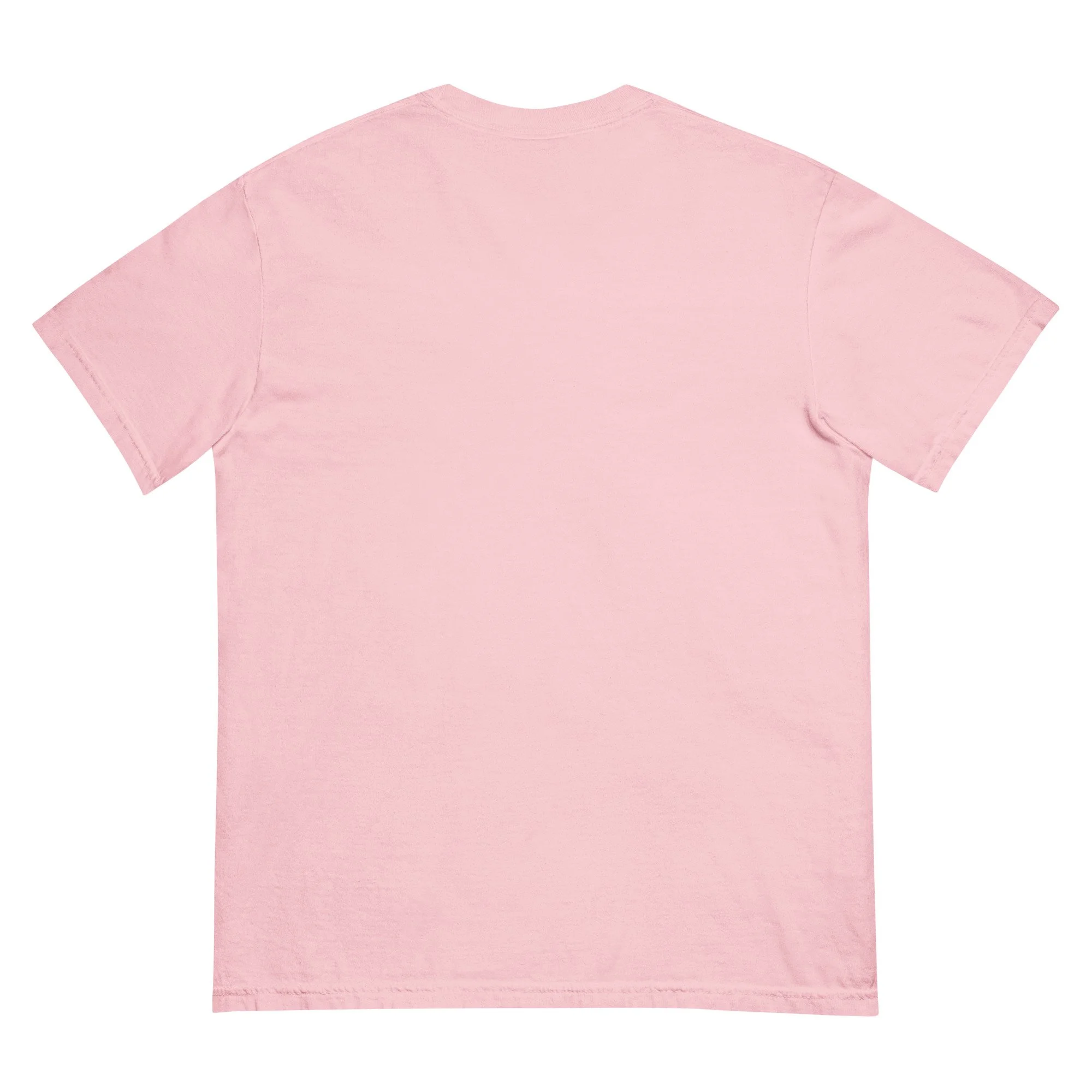 unisex-garment-dyed-heavyweight-t-shirt-blossom-back-68d3363d9e767.jpg