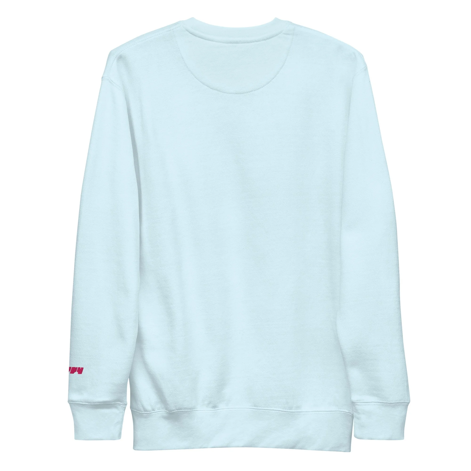 unisex-premium-sweatshirt-sky-blue-back-697a88d10bec4.jpg