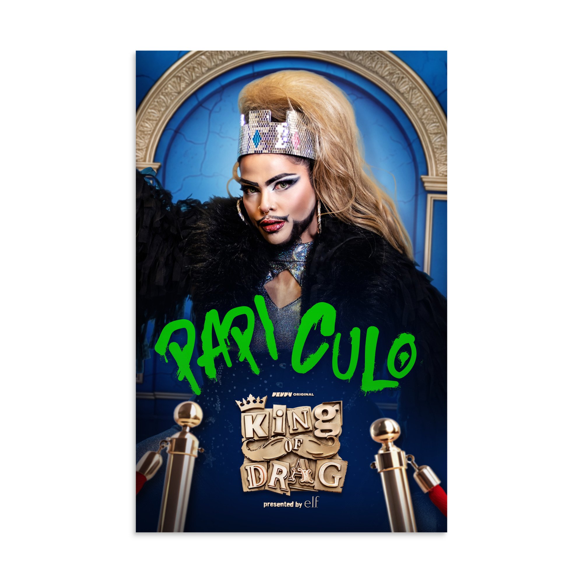 enhanced-matte-paper-poster-(in)-11x17-front-6aadd1aa648aa.jpg