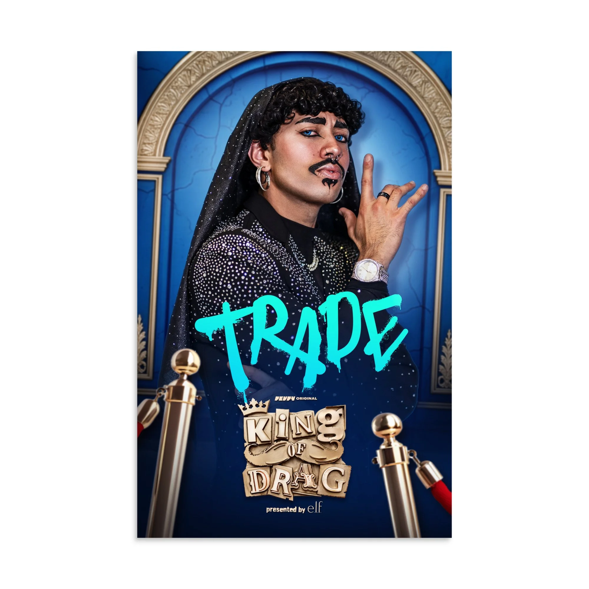 enhanced-matte-paper-poster-(in)-11x17-front-6aadd2688337b.jpg