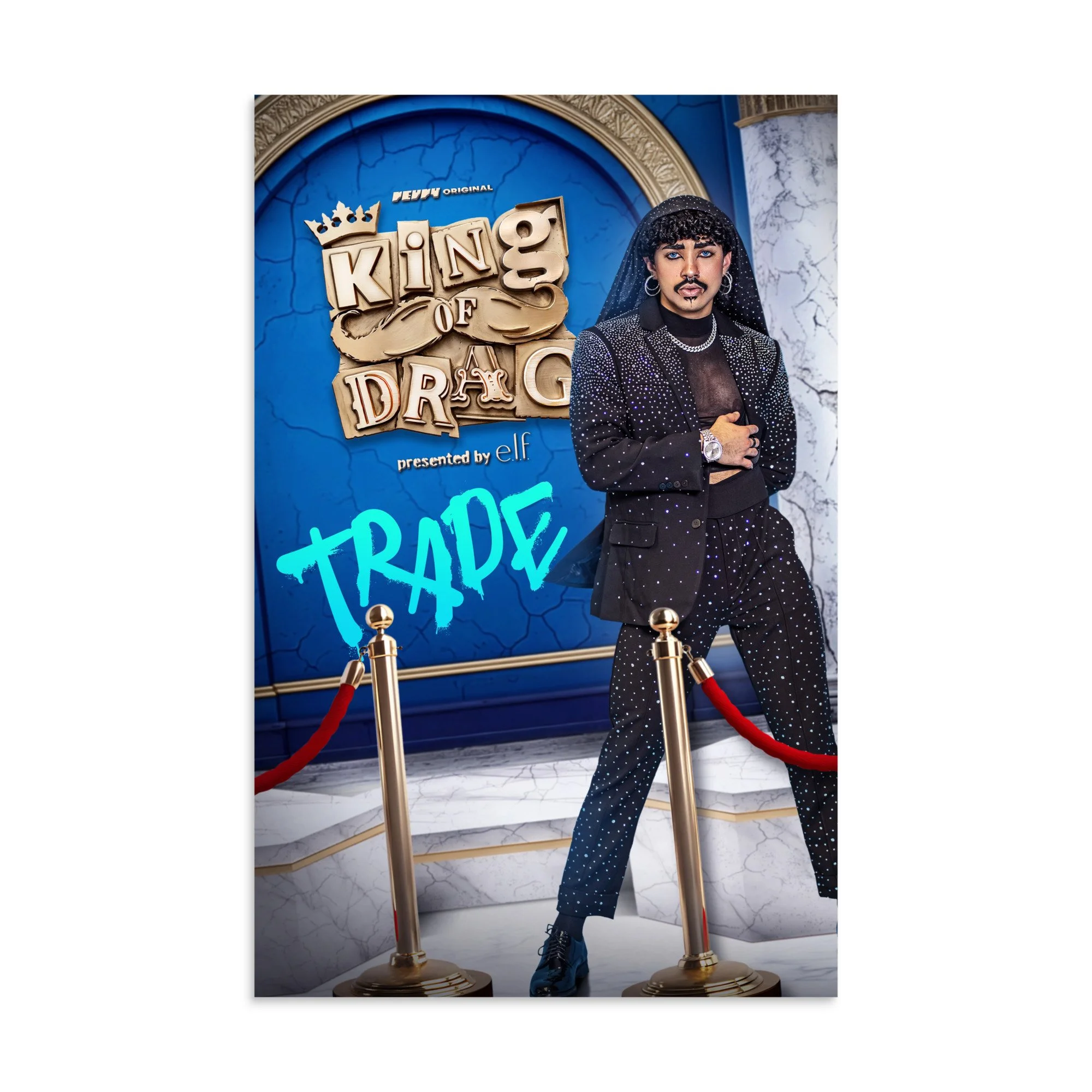 enhanced-matte-paper-poster-(in)-11x17-front-6aadd28cc9959.jpg