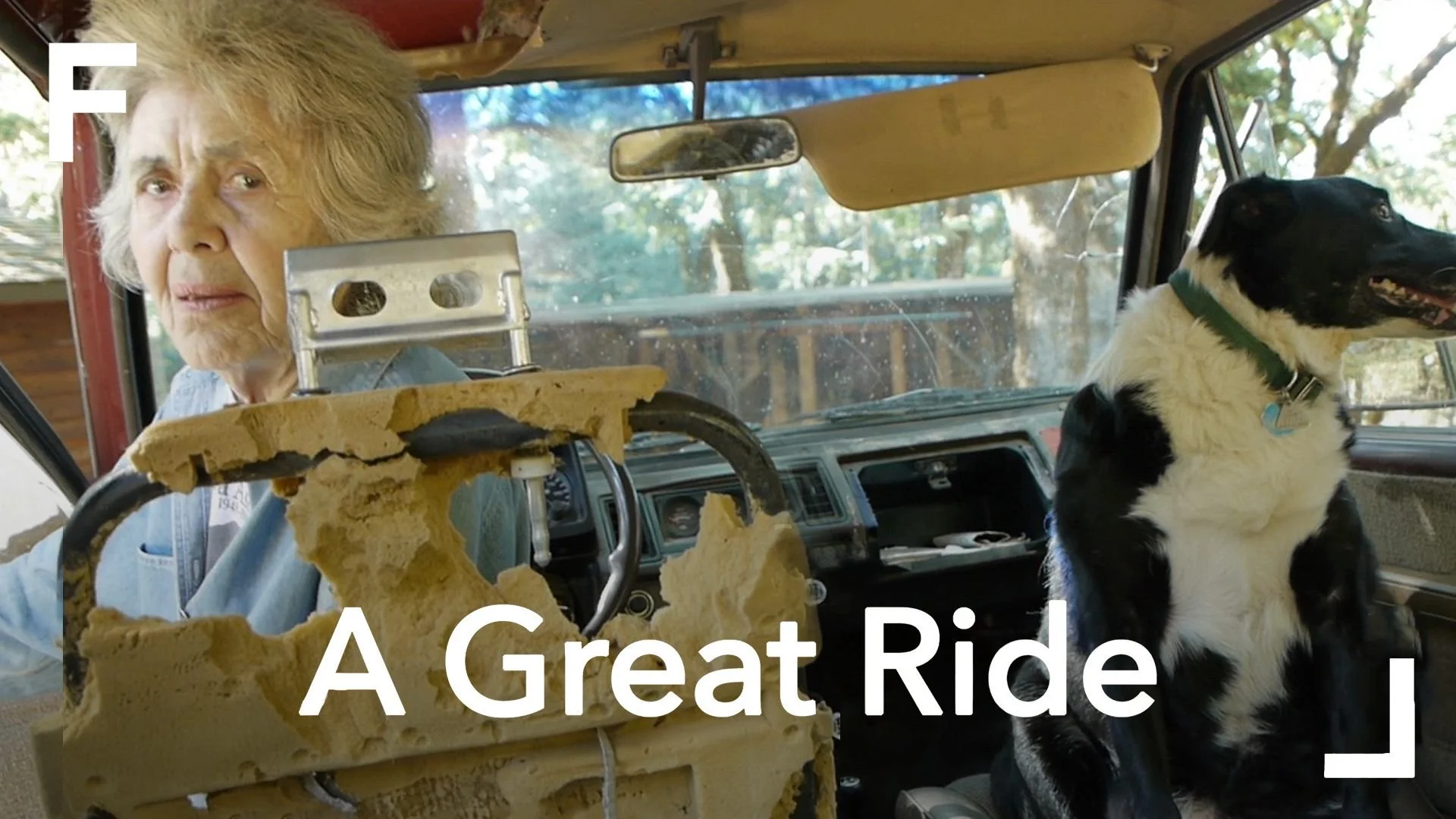 A Great Ride on Revry