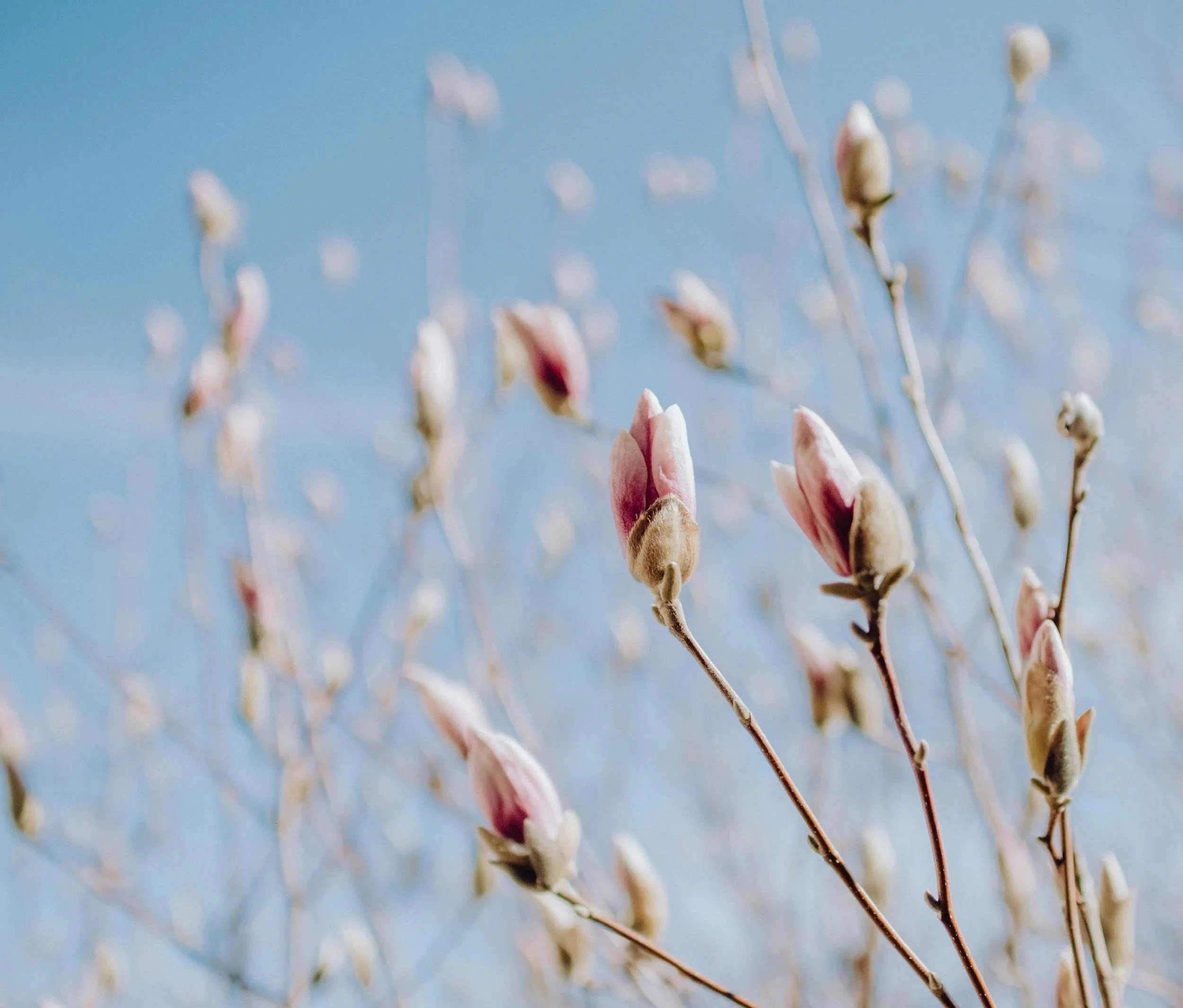 Planning a Meaningful Memorial Service: 5 Things to Keep in Mind