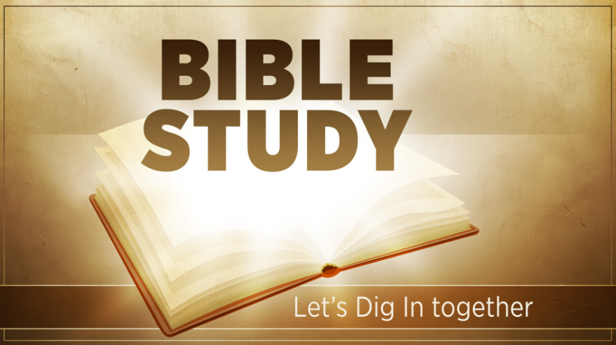 New Visions Group
