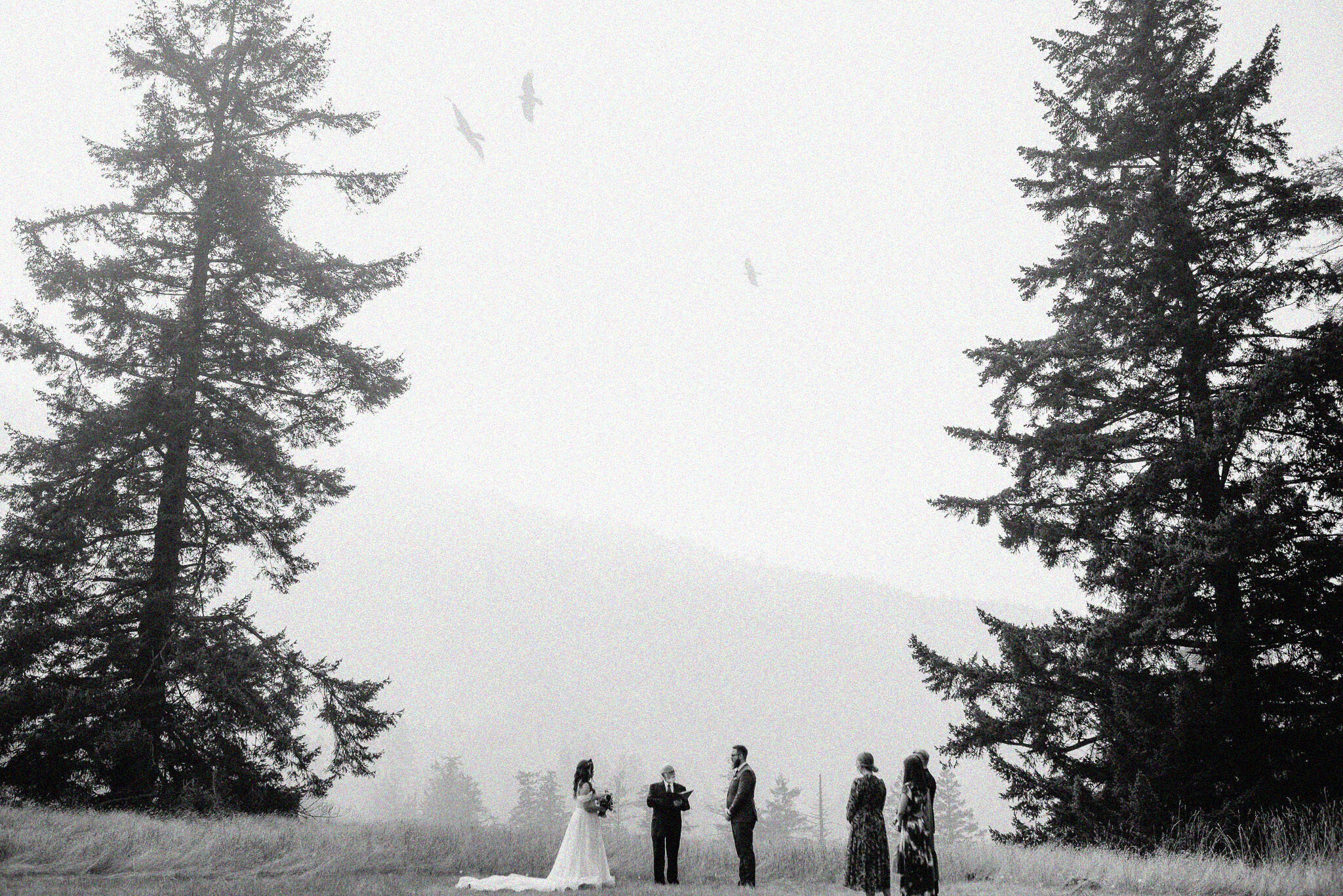 Abby and Lee's Wedding