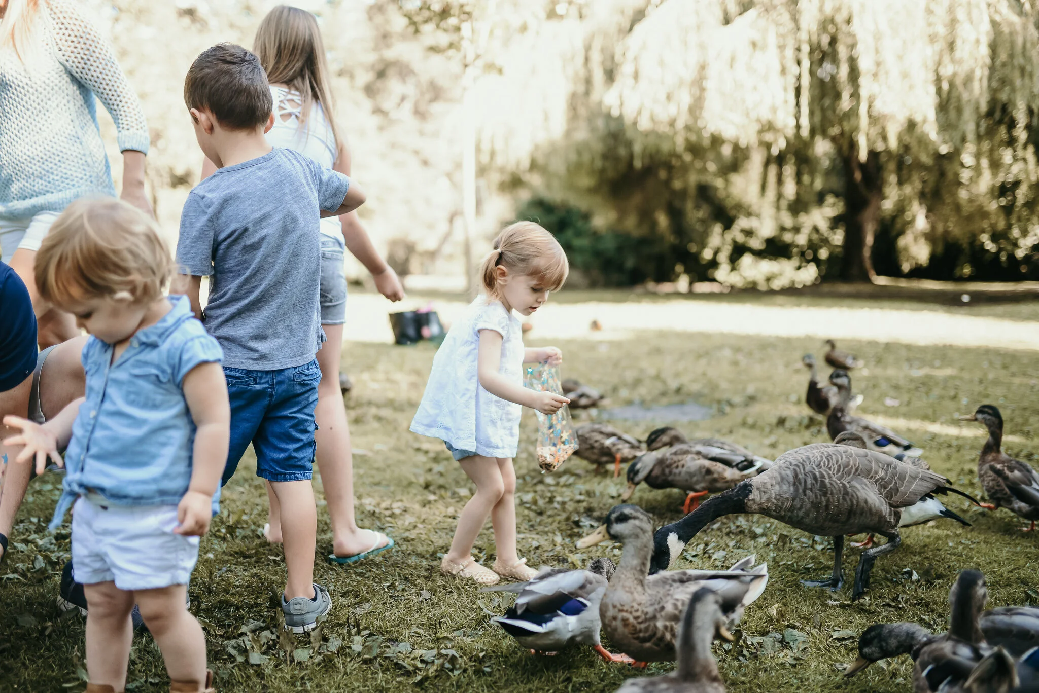 Family-46.jpg