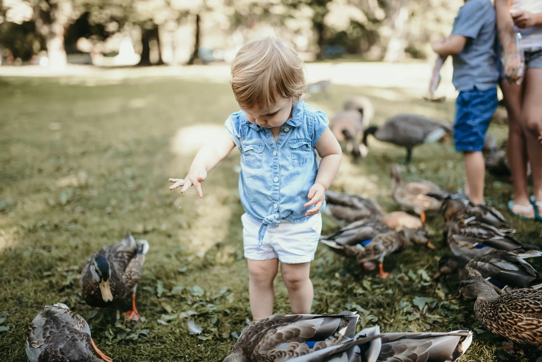 Family-50.jpg