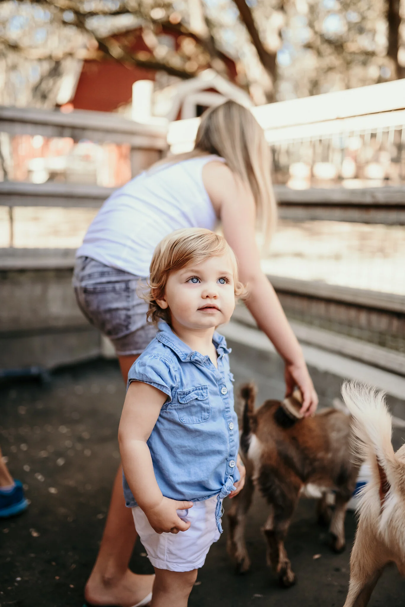 Family-65.jpg