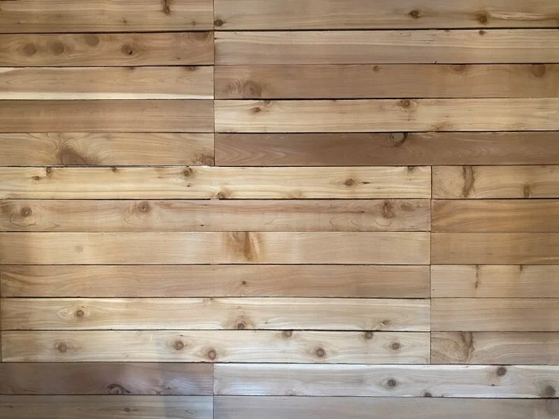 Availability — Bachmeier Property Management