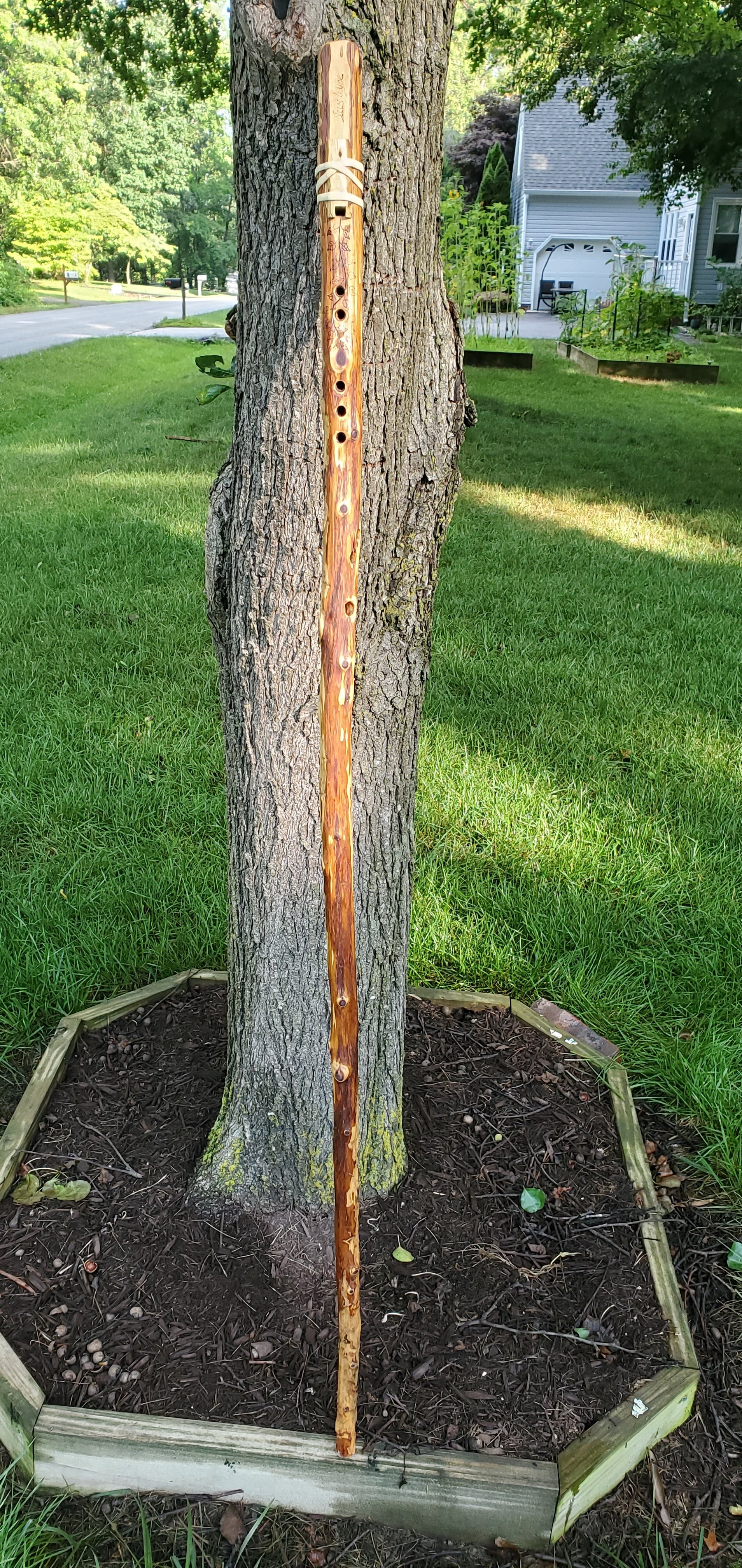 A tree with a carved wooden stick leaning against it. The tree is in a garden bed with wood border, surrounded by green grass, with a house and a street in the background.