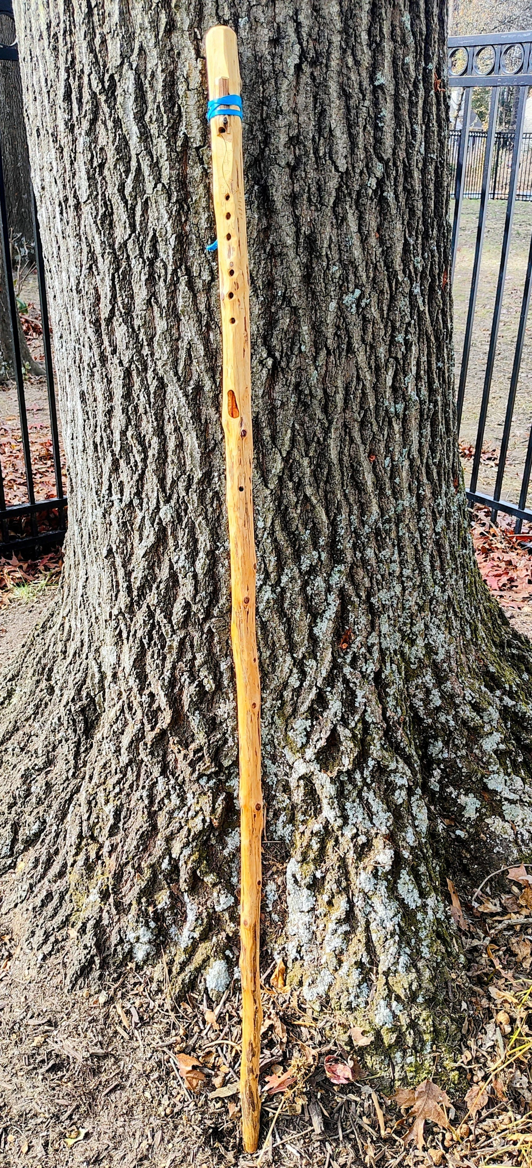A wooden walking cane leaning against a large tree trunk outdoors, with a metal fence visible in the background.