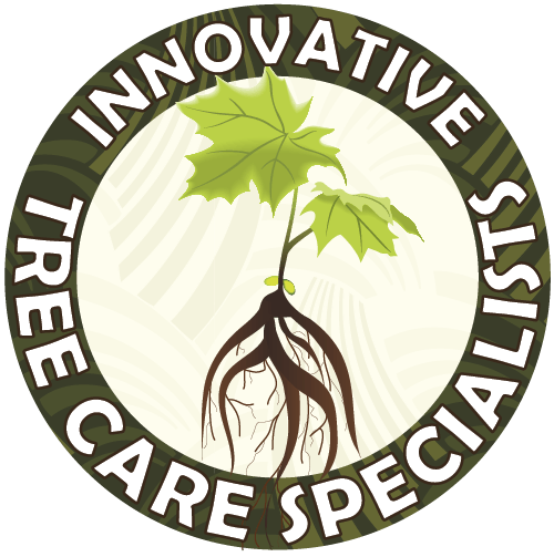 Innovative Tree Disease Evaluation &amp; Treatment - Madison, WI