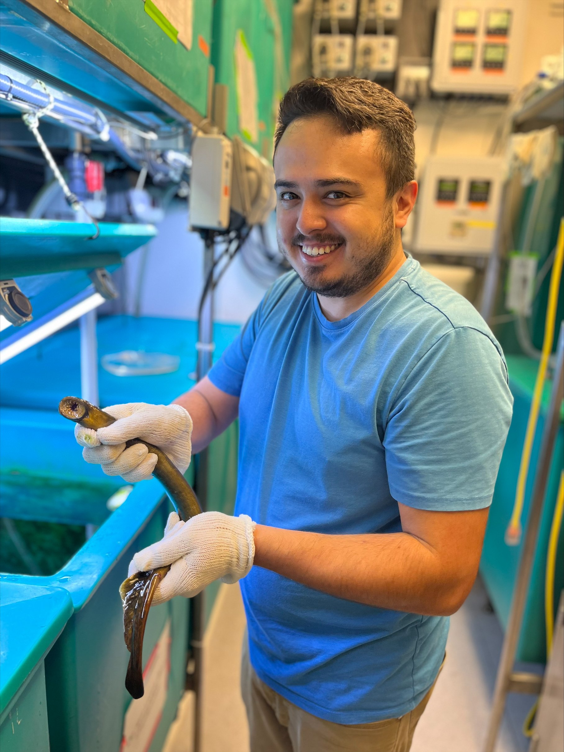 Lamprey Season 2022 — Bronner Lab