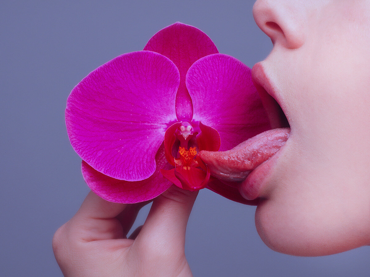 orchid.jpeg