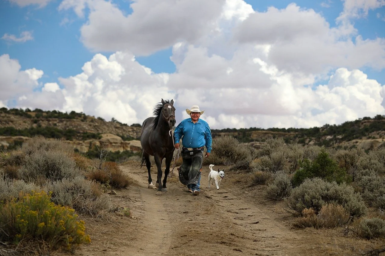 Serving Horses, Serving Community