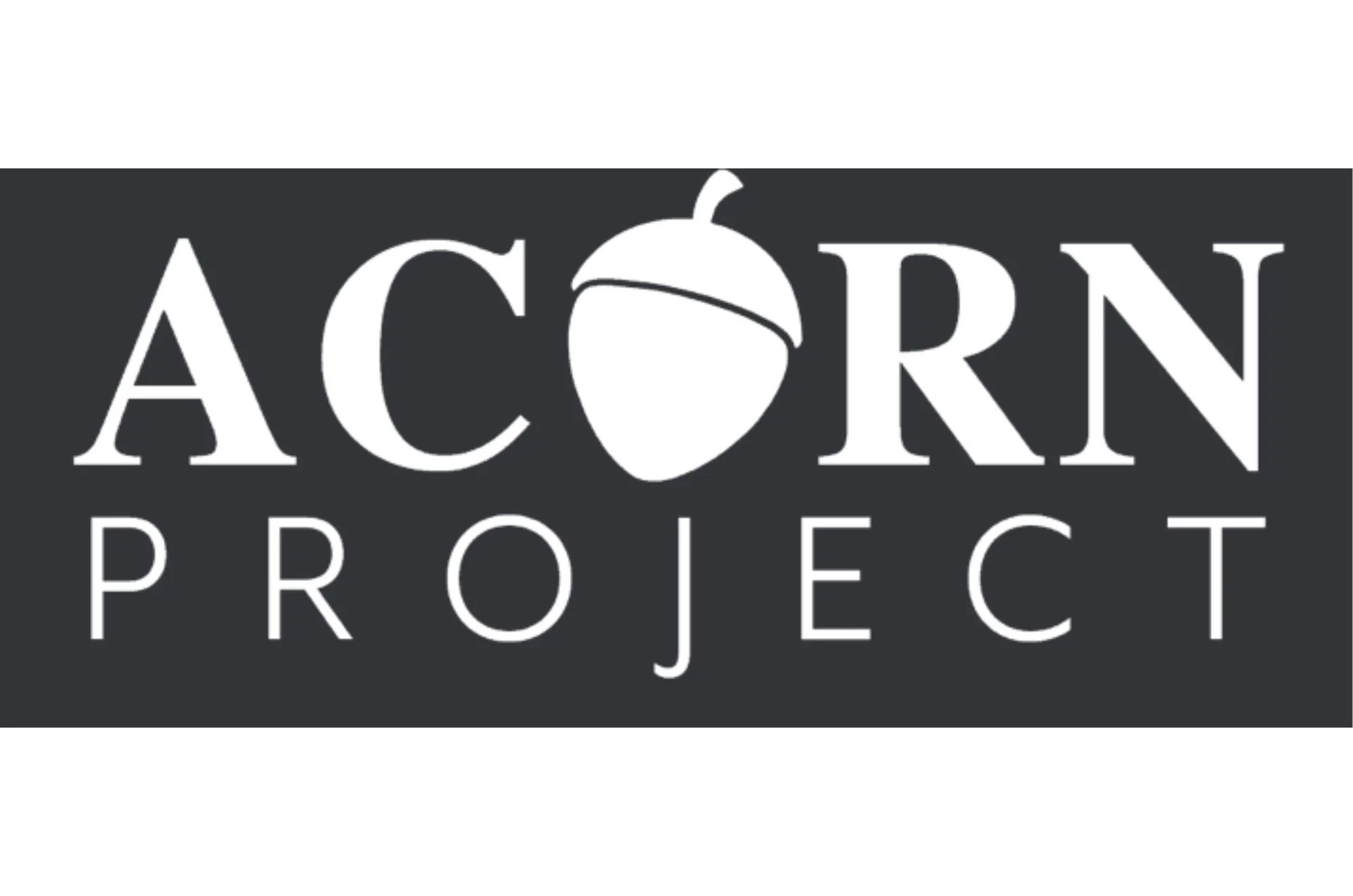 Business Idea Generation