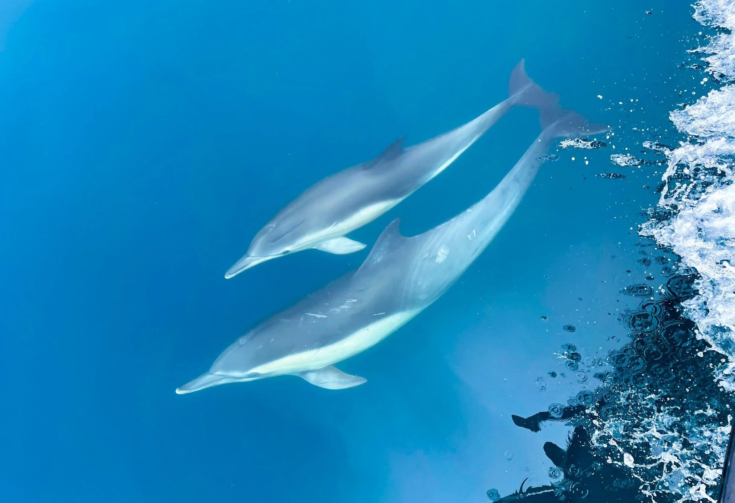 Seasonal Employment Campus By The Sea seasonal-employment-campus-by-the-sea