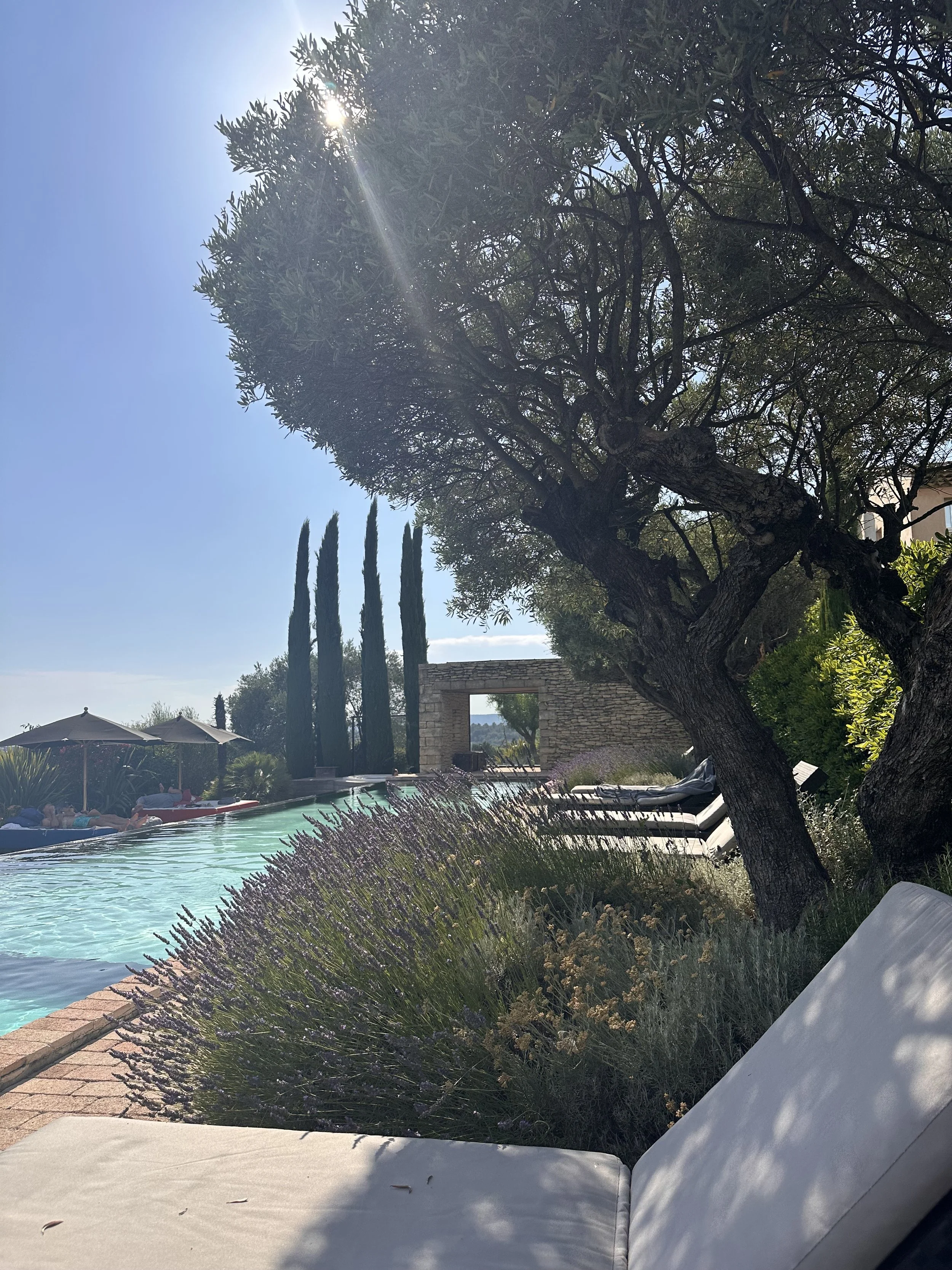 IMG_8876.jpeg