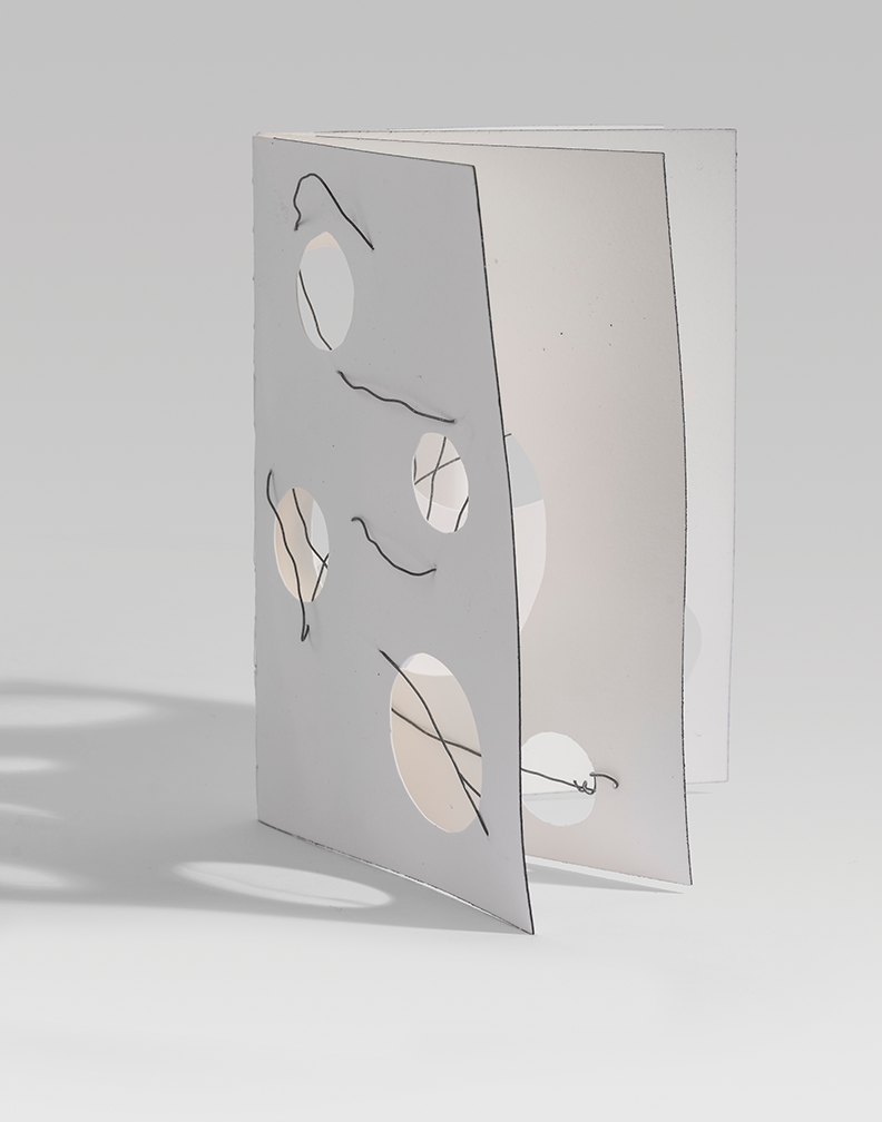 Paper and Wire Book