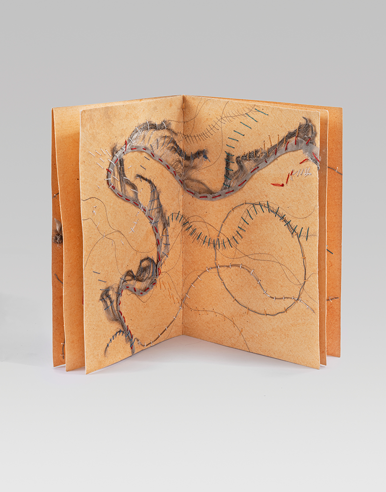 Jaipur Book, View 2