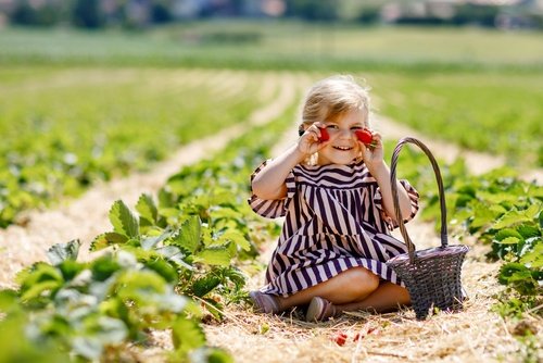 5-Minute Farm-to-Table Snacks for Toddlers