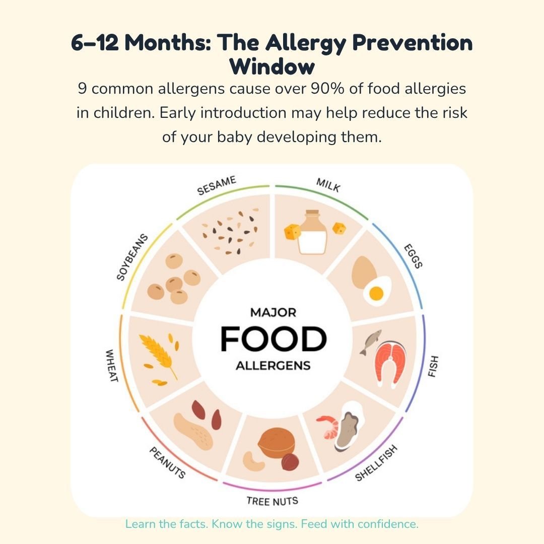 There's a window &mdash; roughly 6 to 12 months &mdash; when introducing common allergens like peanut and egg to your baby can actually help lower their risk of developing a food allergy. It's one of the simple, science-backed ideas the whole book is