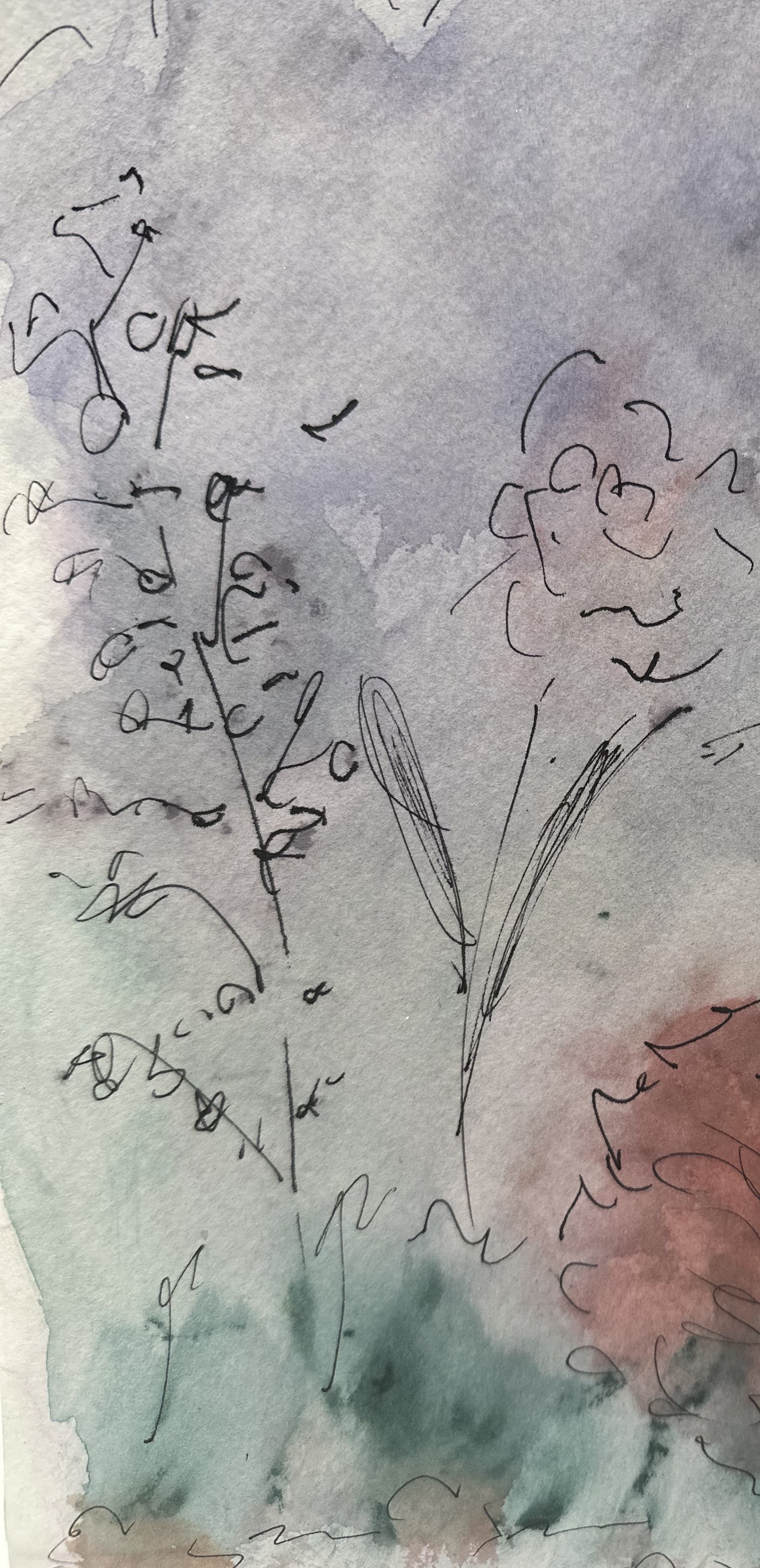 floral watercolor
