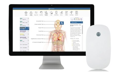 NES Health Scan Day