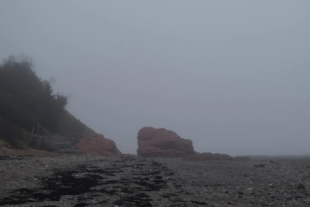 DSC_1773.jpeg
