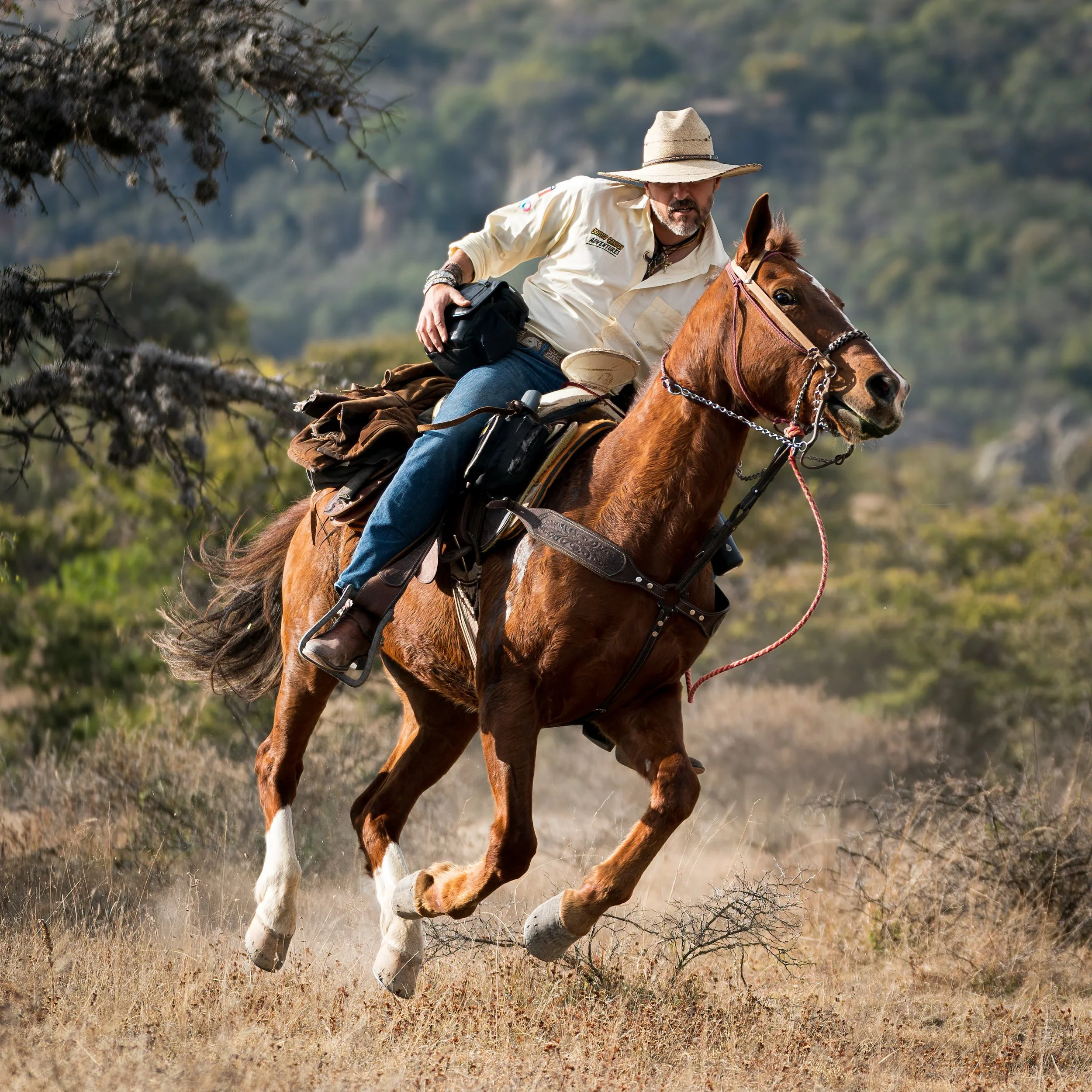 Rodrigo-Gallop-Sharpened.jpg