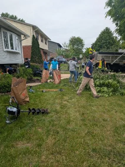 Yard Work.jpg