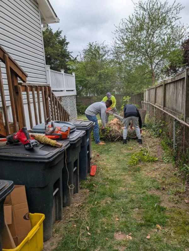 Tree Removal.jpg
