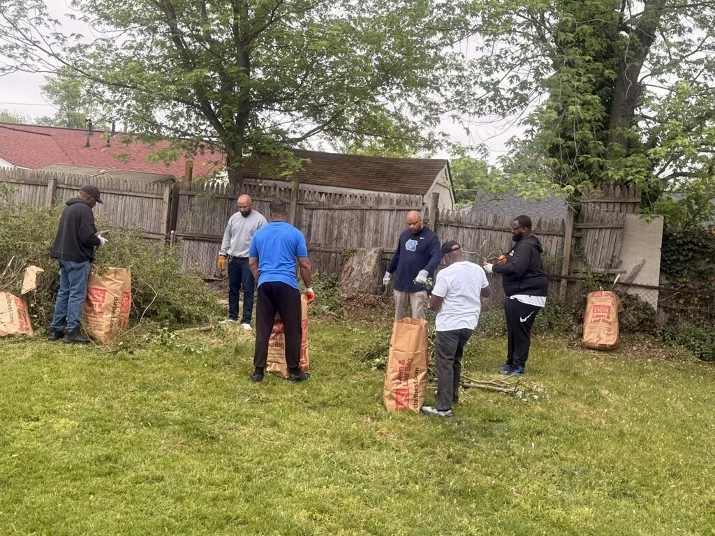 Backyard Cleanup