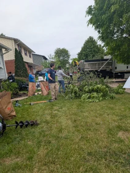 Yard Cleanup.jpg
