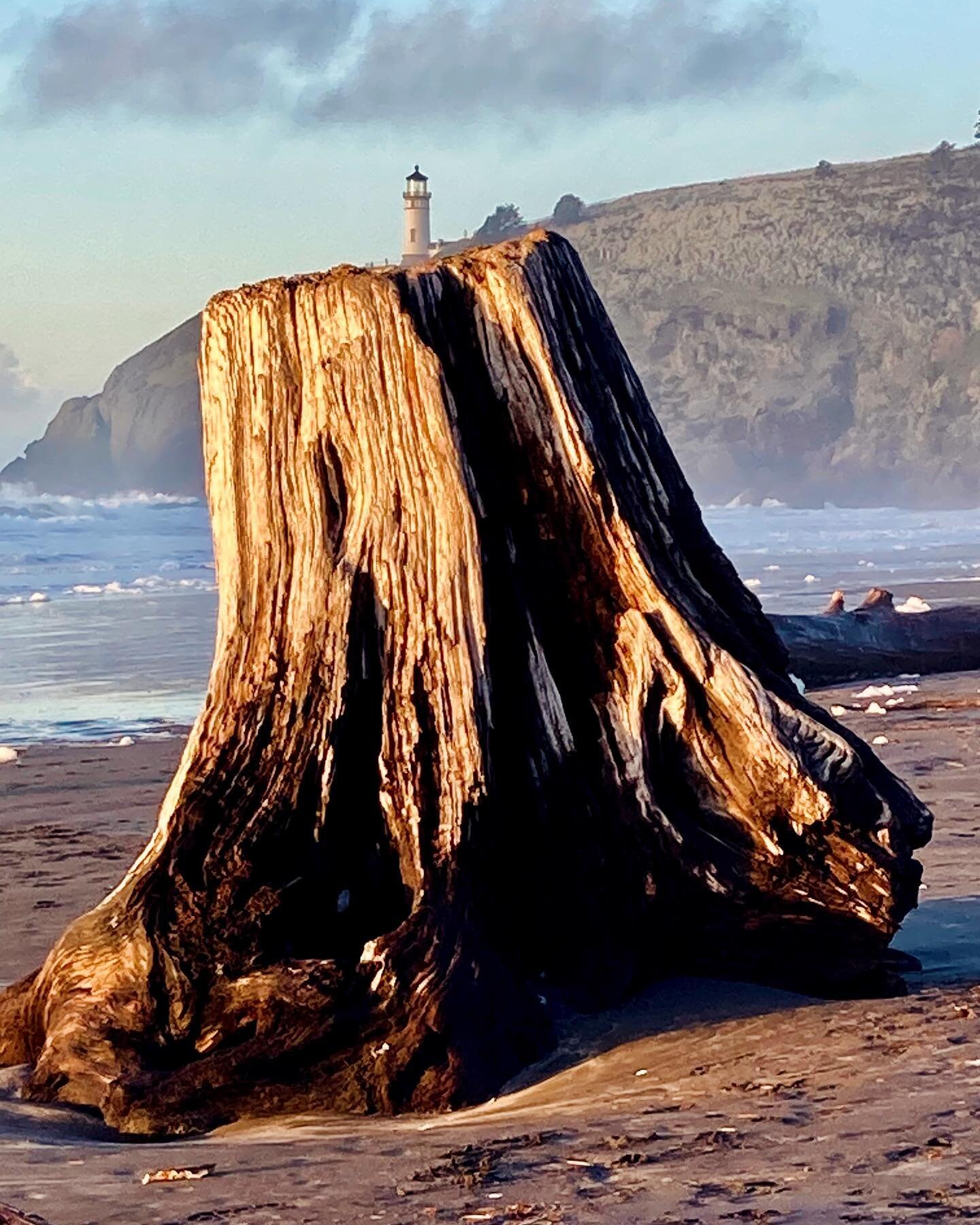 Check out the miniature lighthouse on top of the stump on Benson Beach!