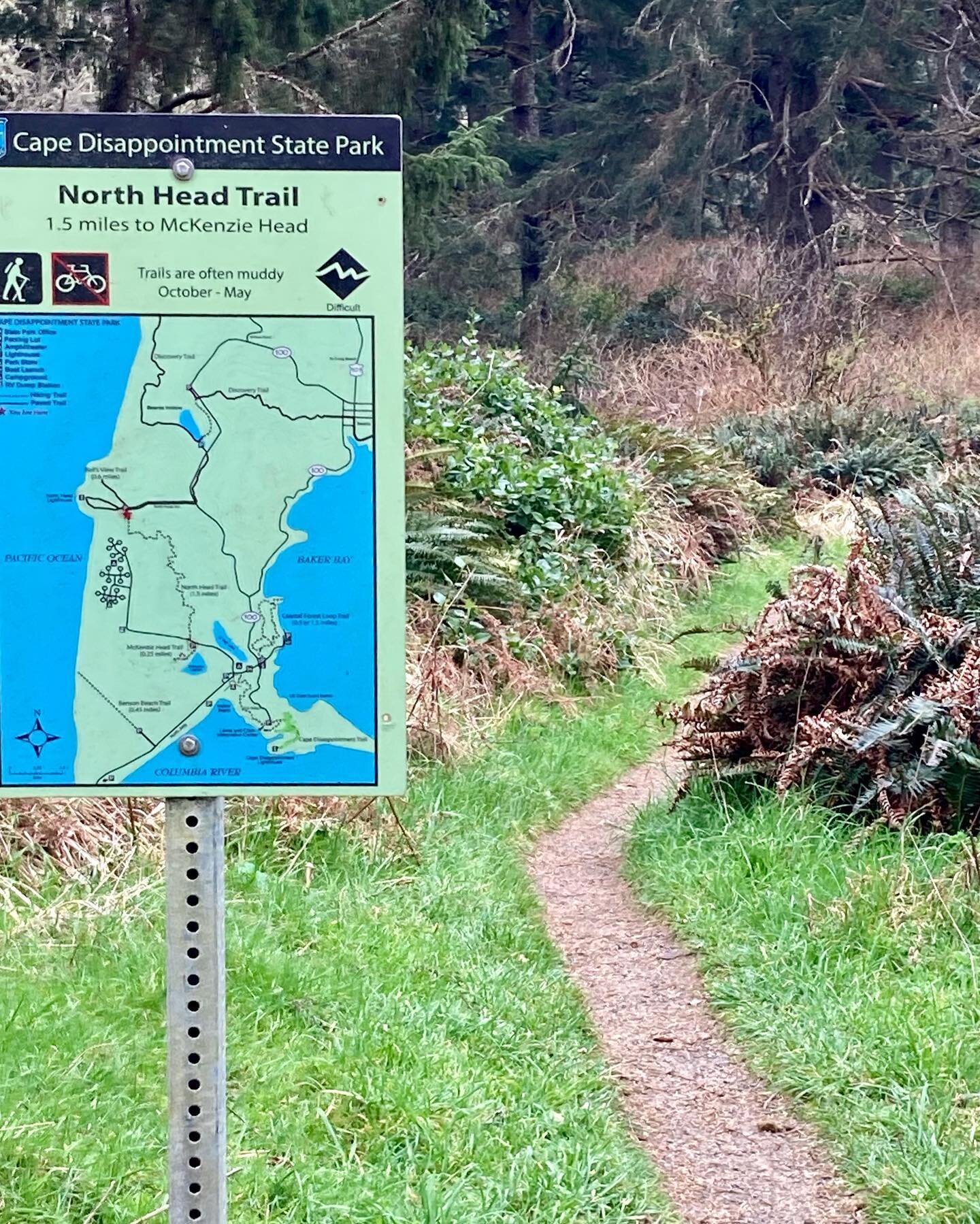 Hiking trail - North Head to McKenzie Head trail head - Cape Disappointment State Park