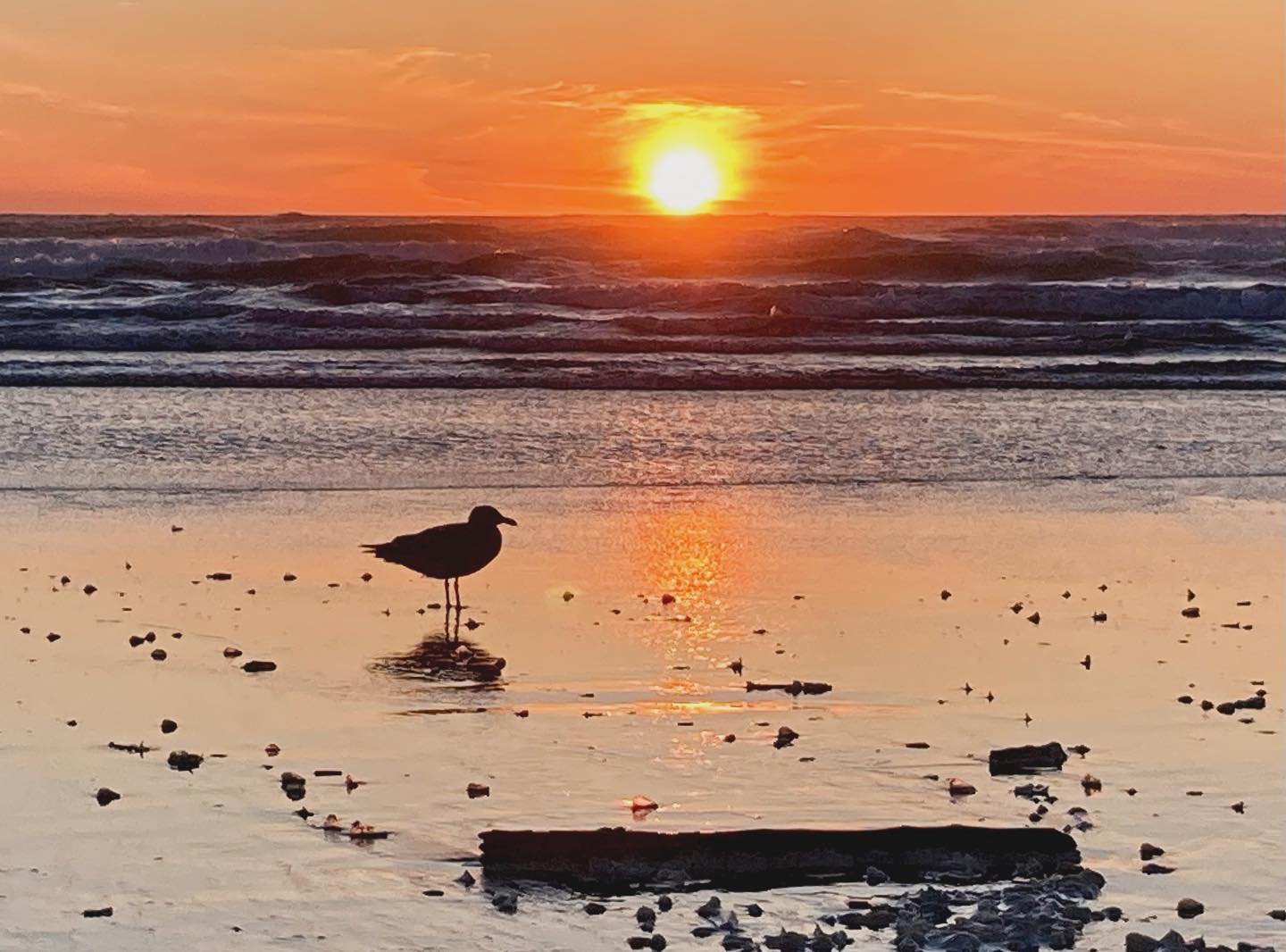 Long Beach Sunset