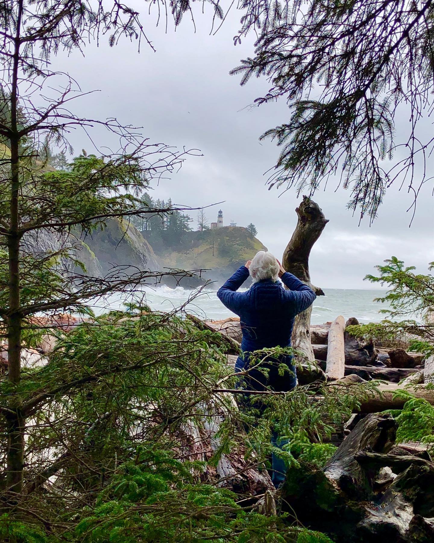 Foggy beach day