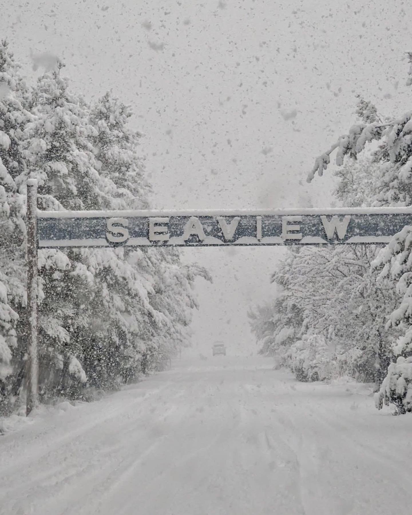 Winter Wonderland