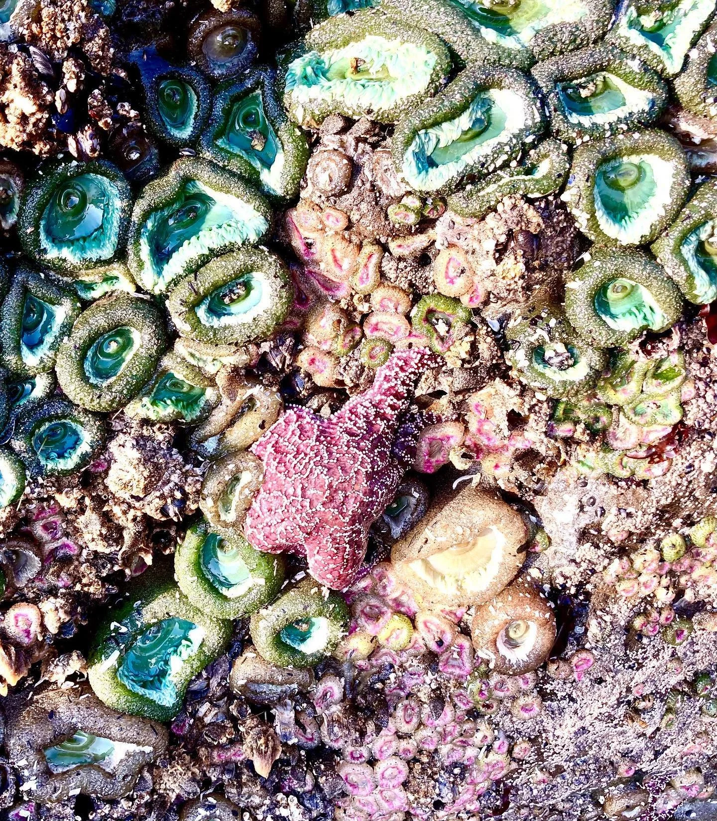 Beautiful day at the beach. Fishing rocks near Beards Hollow.