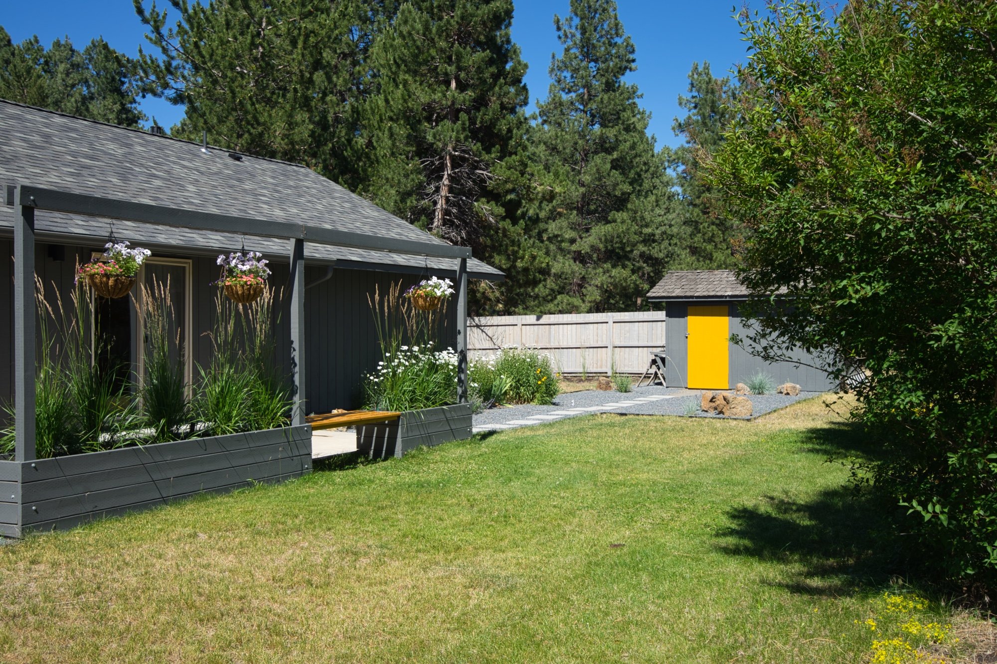 Backyard.jpeg