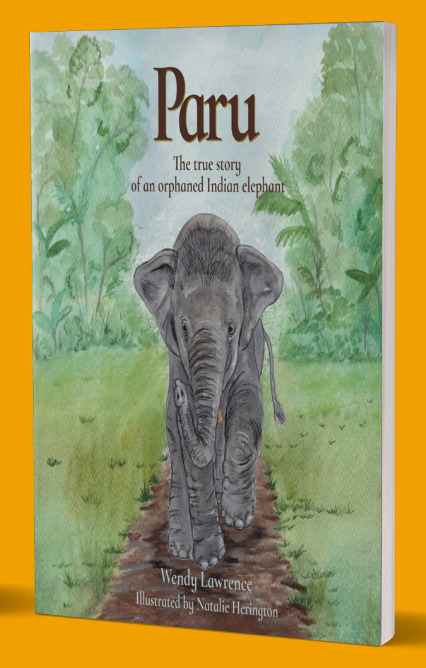Paru by Wendy Lawrence. Published 2026. My role: Editor
