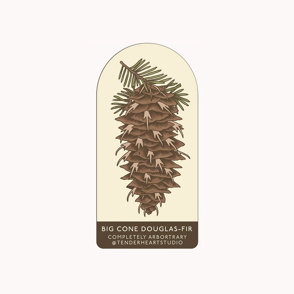 big-cone-douglas-fir.jpg