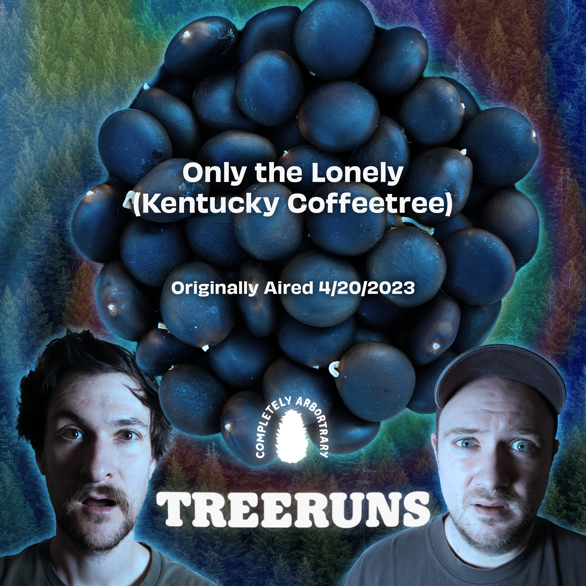 ONLY THE LONELY (KENTUCKY COFFEETREE)
