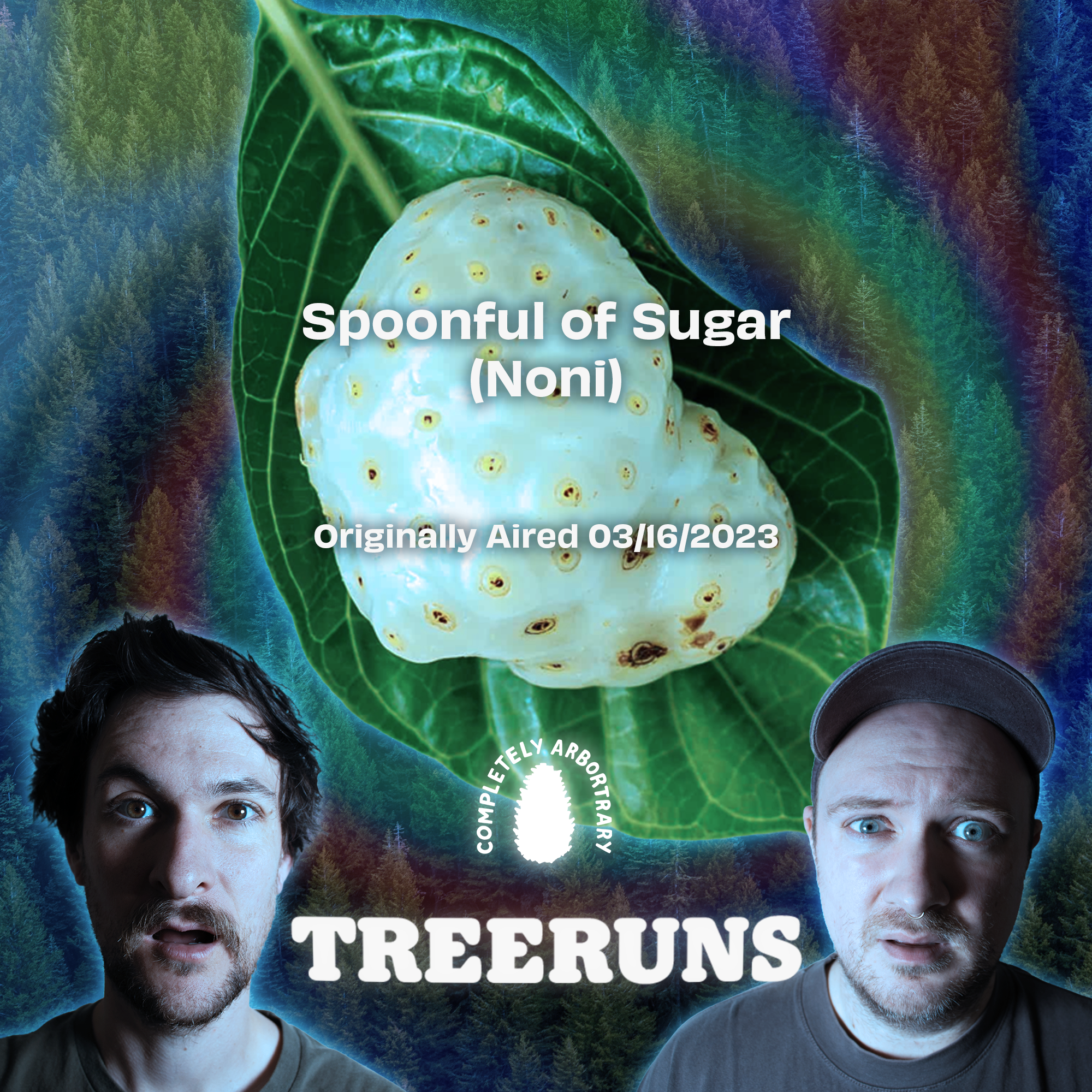 SPOONFUL OF SUGAR (NONI)