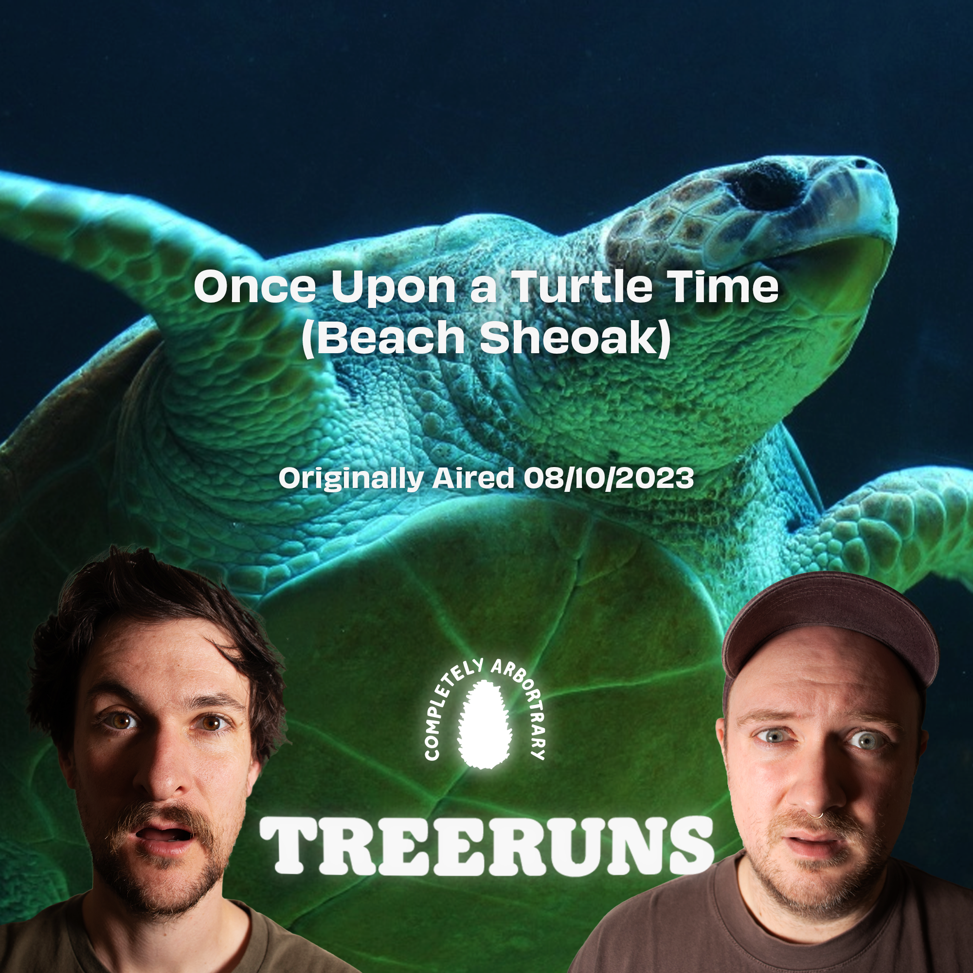 ONCE UPON A TURTLE TIME (BEACH SHEOAK)